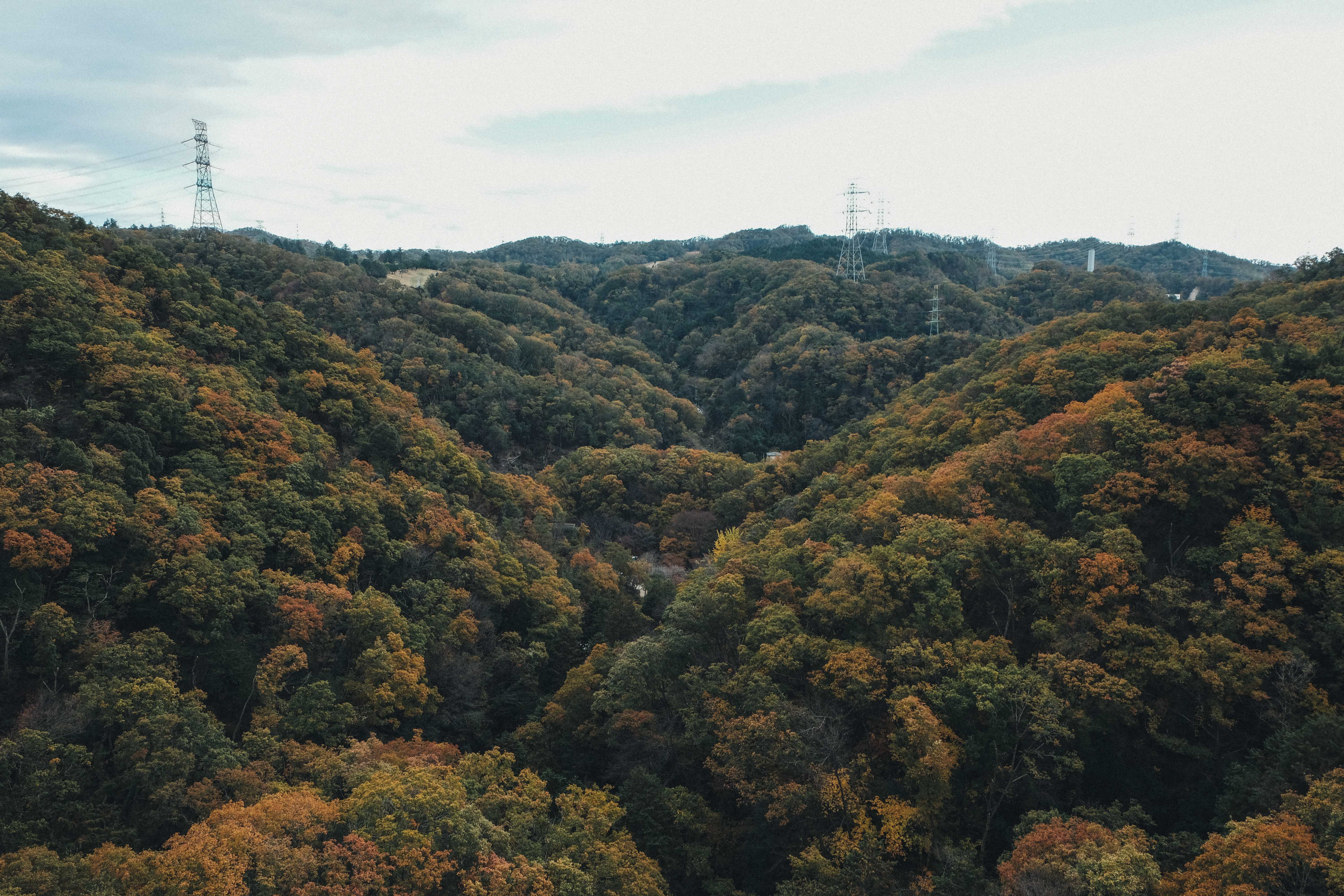 Hoshi no Buranko (星のブランコ) ,the swing of stars, during autumn.