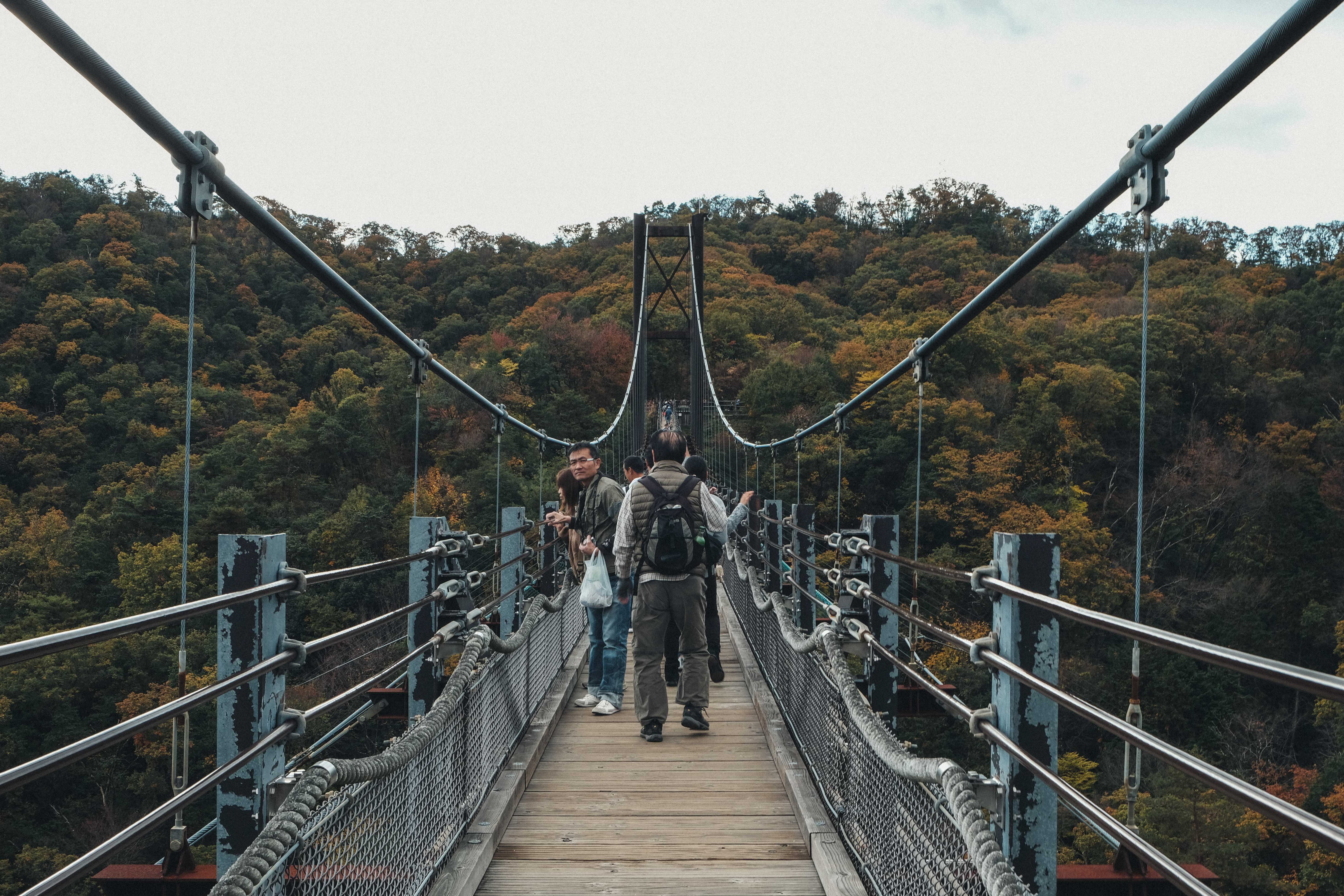 Hoshi no Buranko (星のブランコ) ,the swing of stars, during autumn.
