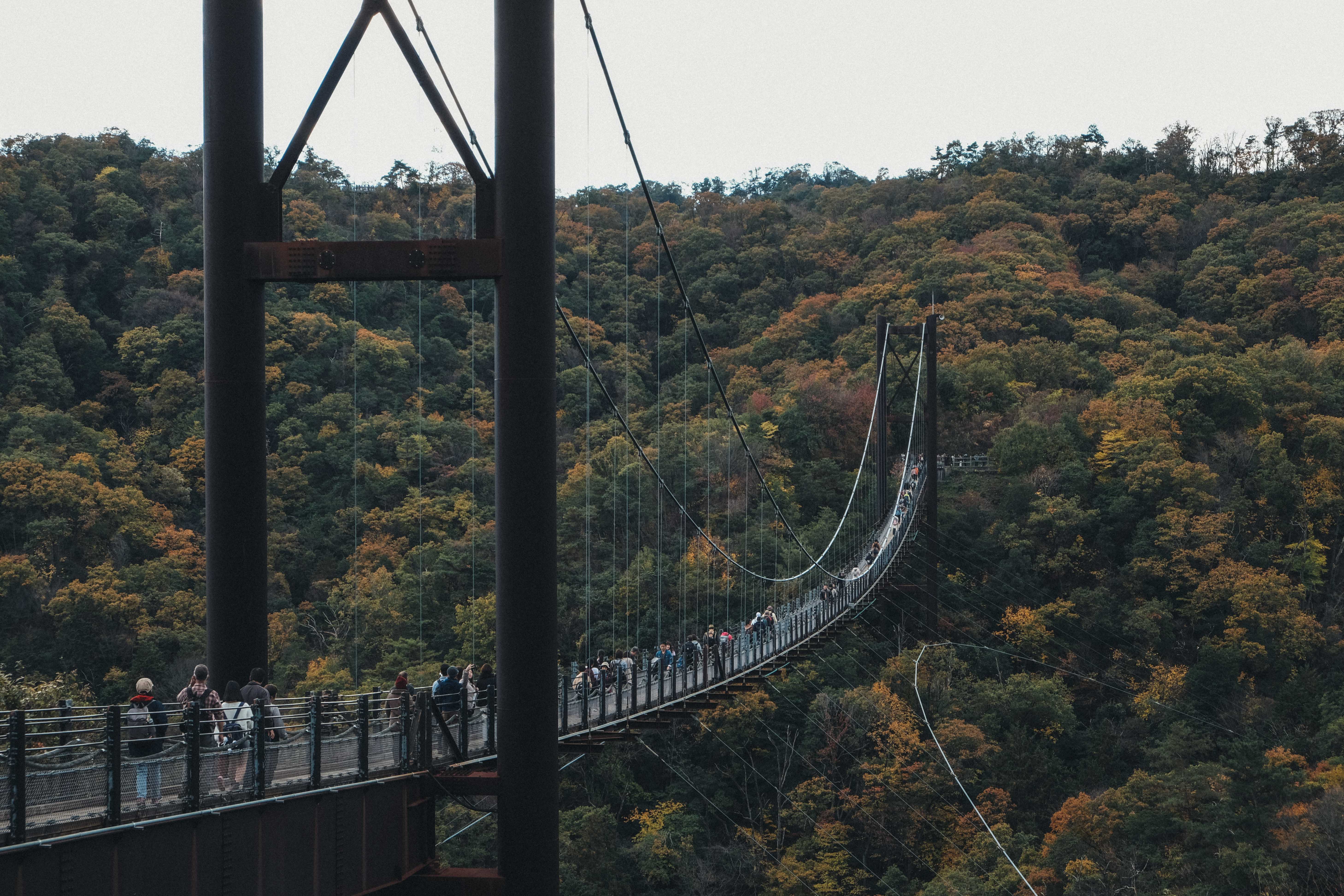 Hoshi no Buranko (星のブランコ) ,the swing of stars, during autumn.